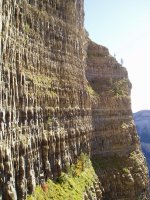 Marboréko kareharria