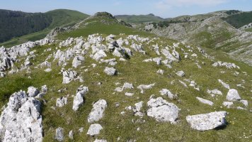 IEko tontorra, atzean beste tontorra duela