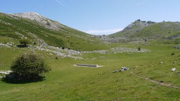 Abereentzako aska, Hegoaldean