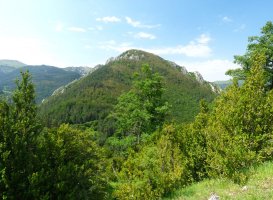 Belabarsaitsa, Sanzoloren bide neketsutik