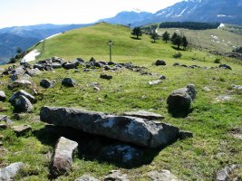 Oamendiko gaina eta trikuharria