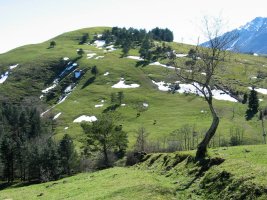 Oamendi Ollargaindik