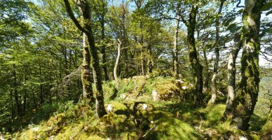 Goiko Soroko gailurra