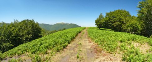 Orobikolarreko gailur zabala