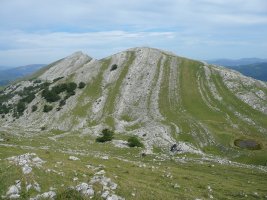 Arriurdin.Atzean,Arkaitz