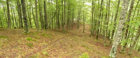 Bidea hegoaldeko isurialdean gora