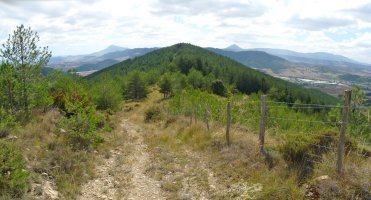 Erbaluz gaina (742m)