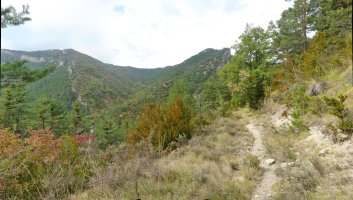 Mendibeltzako bide ederra