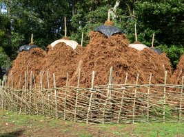 Iratze metak lizar adarrez egindako hesiaz inguratuta