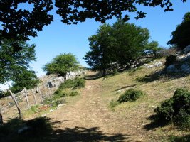 Ermitatik gora dihoan bidea