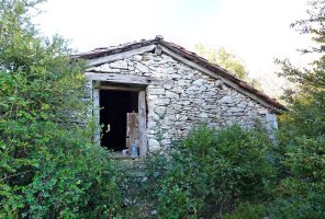 Ibarra borda, basoak irentsita