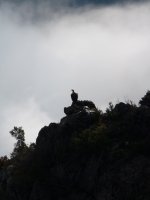 Putrea Lakorriko malkarretan