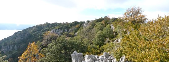 Gailurraren malkarrak iparraldetik