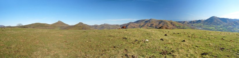 Larroko gailur zabala