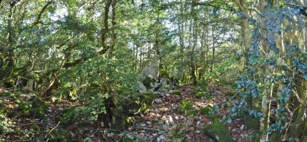 Illarbeltzeko gailur ezkutua