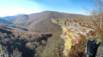 Zamariaingo behatoki zirraragarria