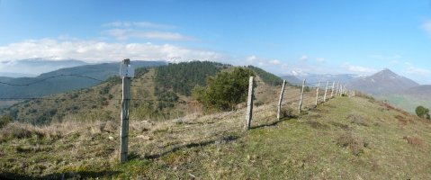 Txurri mendiko gailurra