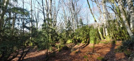 Bordaganeko gainaldea, harri ederrez josia