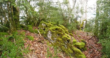 Bultzarregiko hegoaldeko gailurra, Aritzoiana izenekoa