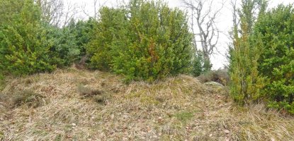 Bultzarregiko gailur itxia