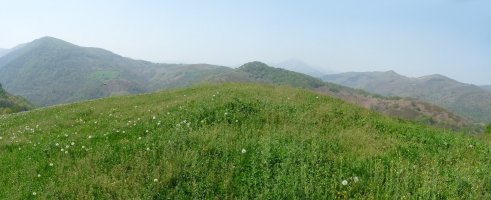 Gurutzaldeko gailurra