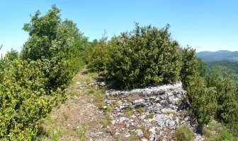 Talaia harritsu bat, paisaia zabalak miresteko egina dirudiena