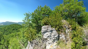 Beste talaia bat, hegoalderago