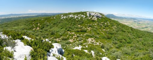 Romastacako malkarrak