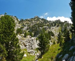 Ukerdi Larreriako bidetik