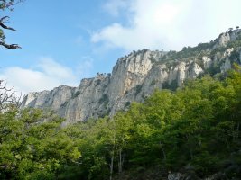 Ullibarri Gaineko Amildegiak