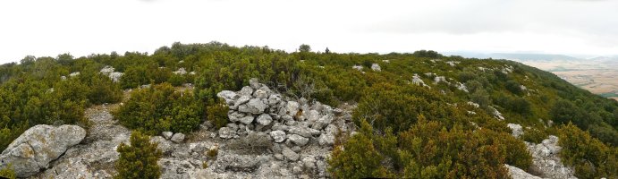 Romastacako gailurra