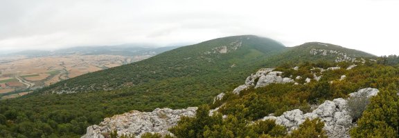 Romastacako gailurra