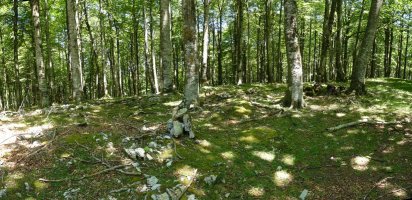 Astarte edo Arluzko gailurra