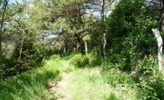 Irotzmendi edo Iturratxeko gailurra