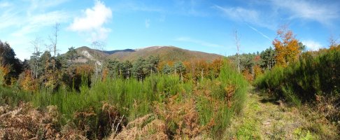 Ortzanzurieta Arlagain eta Latxaga arteko lepotik