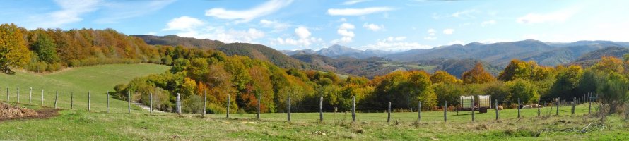 Iratiko bazterrak gainaldeko soroetatik