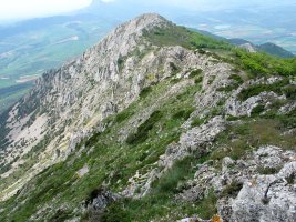 Mendebaldeko gandorra