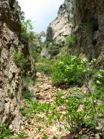 Zaila da Puente del Diablo haitzulora iristea behe aldetik