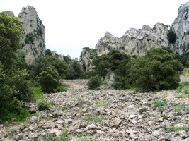 Haitzarteko harritza