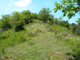 Ekialdeko gandorreko bidea