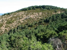 Elixato gaina Berrondo aldetik