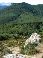 Antxoriz aldeko ikusmira