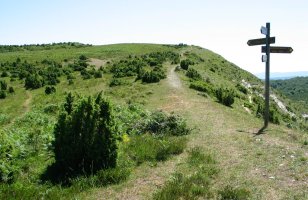 Mendebaldeko bizkarra