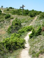 Apinaniz aldeko igoera San Cristobalgo bizkarrera
