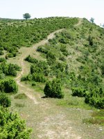 San Cristobal eta San Justi arteko bidea