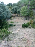 Ohiko igoeraren bidea