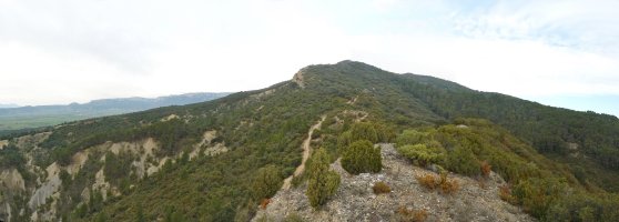 Belastegiko baso sarria