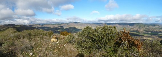 Zaldinagako gailurra