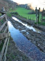 Sagarretako goi-bailara luzea