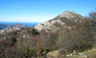 Agido Sesiarteko Hko bizkarretik